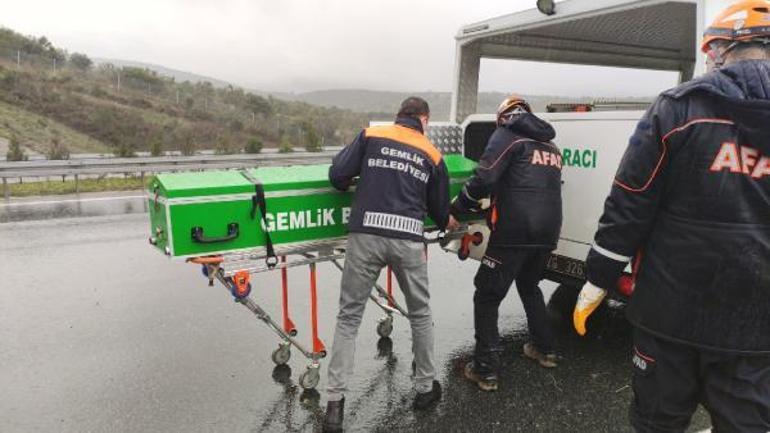 Son dakika: Feci ölüm Yabancı plakalı araç şarampole yuvarlandı