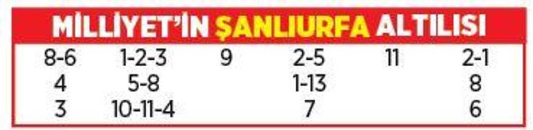 Altılı ganyanda bugün (1 Aralık)