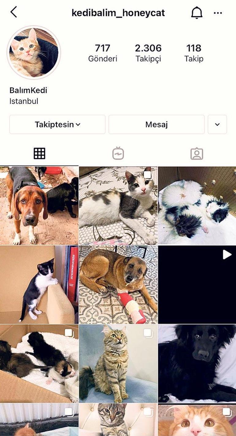 “Hayatımda hep bir kedim oldu”