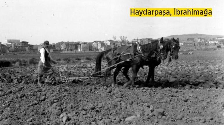 ‘Akıllı İnsanlar Ülkesi’