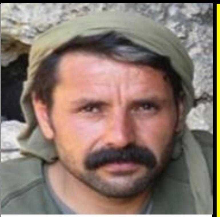 Son dakika: Terör örgütüne ağır darbe Sözde Mardin sorumlusu etkisiz hale getirildi