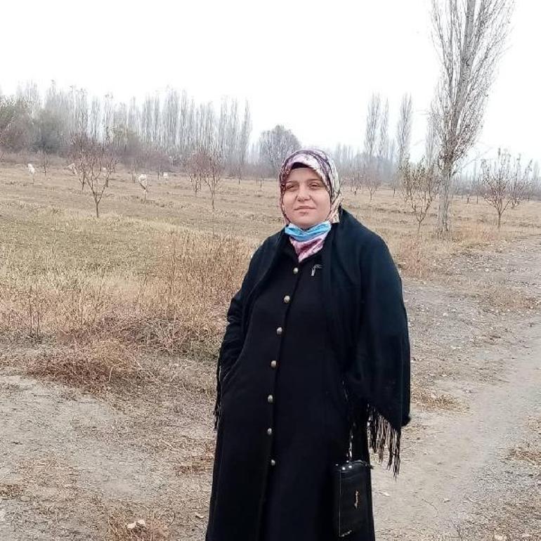 Son dakika Ceviz ağacının altında oturmak hayatının hatası oldu Ağır yaralandı