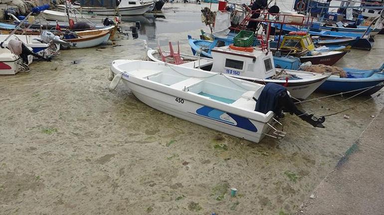 Görenler şoke oldu Rengi kahverengiye döndü