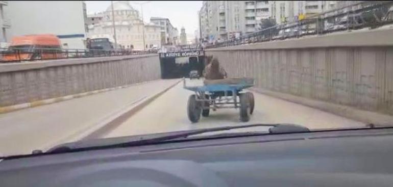 Trafikte dört nala koşan at araçlara zarar verdi