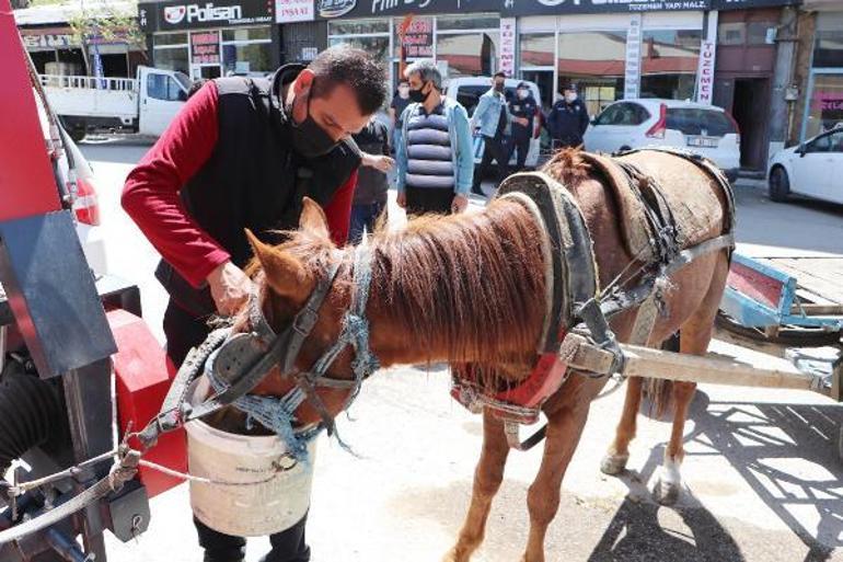 Trafikte dört nala koşan at araçlara zarar verdi