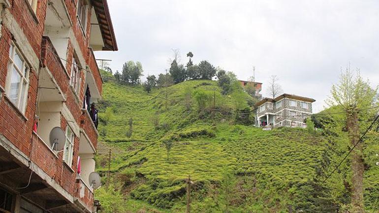 Rize mimarisi ev geleneği yeniden canlanacak
