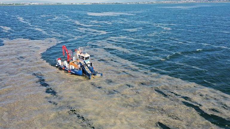 İzmit Körfezinde deniz salyası temizliği Tam 100 ton çıktı