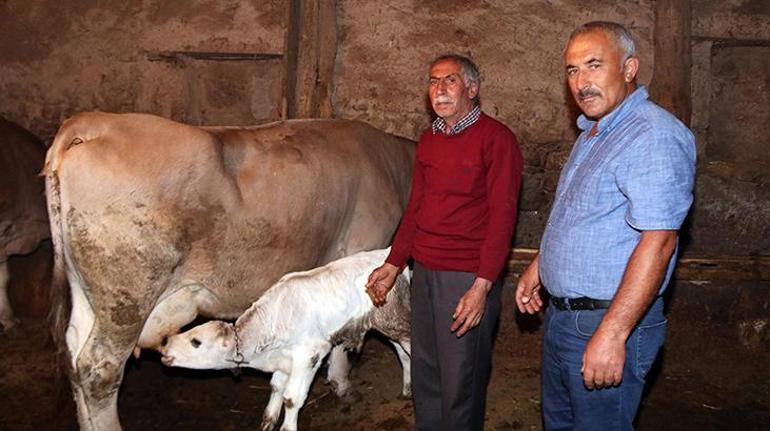 Gören şaştı kaldı İlk kez böyle bir durumla karşılaştık