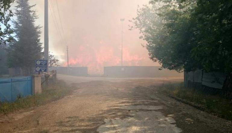 Son dakika: Afyonkarahisardaki biyokütle enerji tesisinde yangın