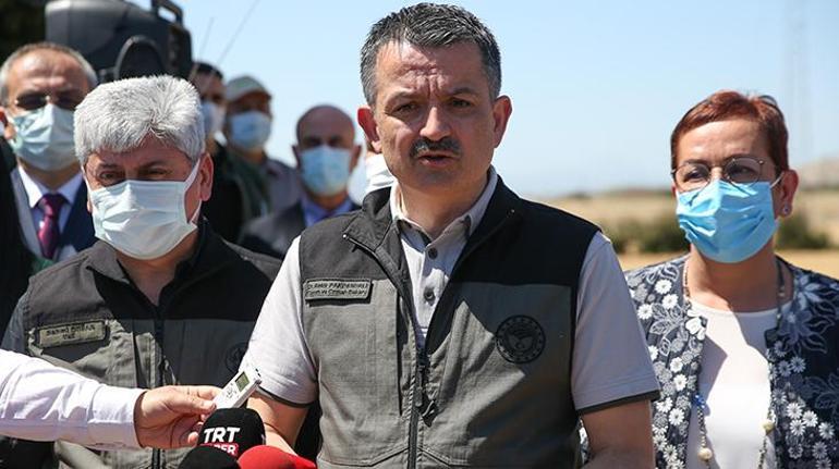 Son dakika... Bakan Pakdemirliden tarım işçilerine müjde Aşılanmalarına başlanıyor