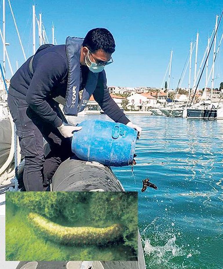 Pandemi sonrası kurtuluş doğada