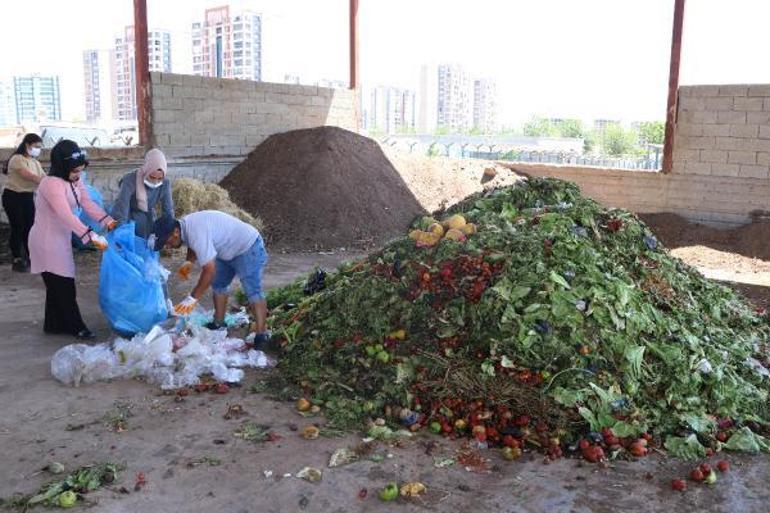 Gönüllü kadınlar, pazardaki sebze meyve atıklarını toplayıp gübreye dönüştürüyor