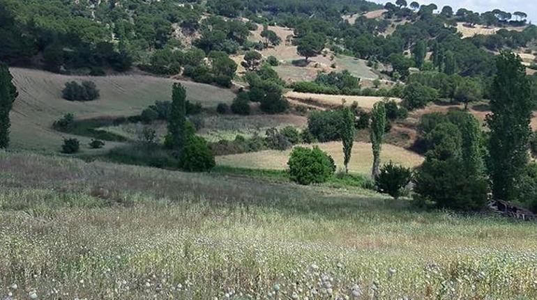Ekipler ihbar üzerine harekete geçti Hepsi ele geçirildi