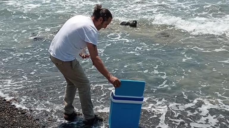 Herkes müsilaj sandı ama... Hatayda görülen sıvı ekipleri harekete geçirdi