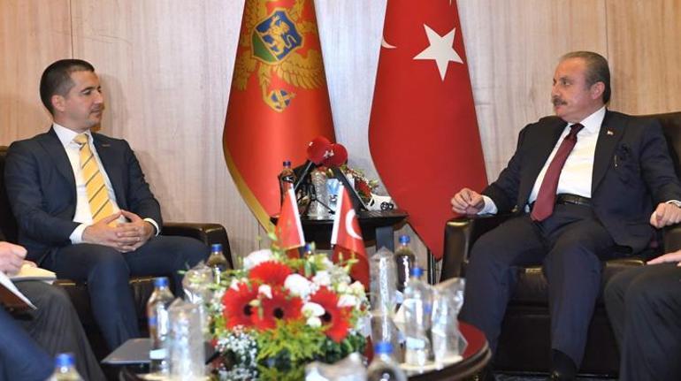 TBMM Başkanı Şentop, Karadağ Meclis Başkanı Becic ile görüştü