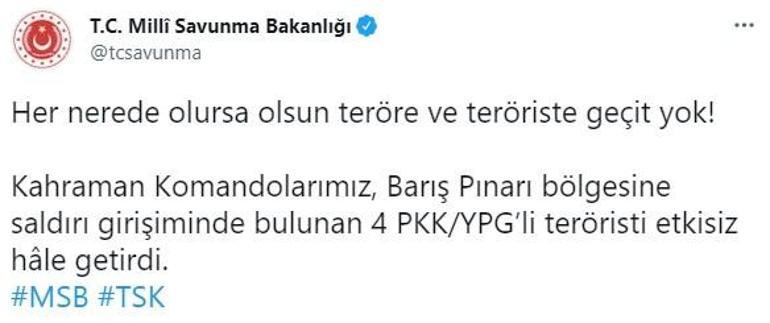 Barış Pınarı bölgesine saldıracaklardı Etkisiz hale getirildiler