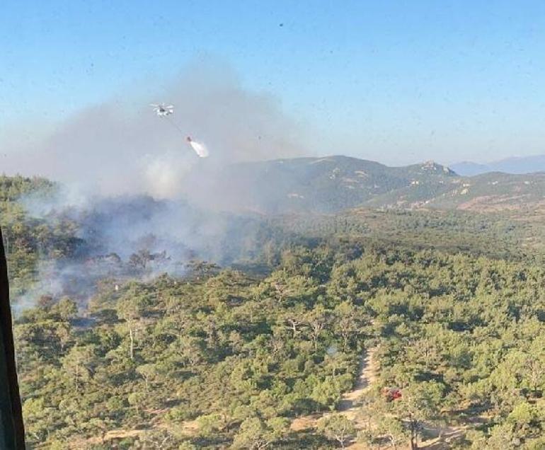 Son dakika... İzmirde orman yangını