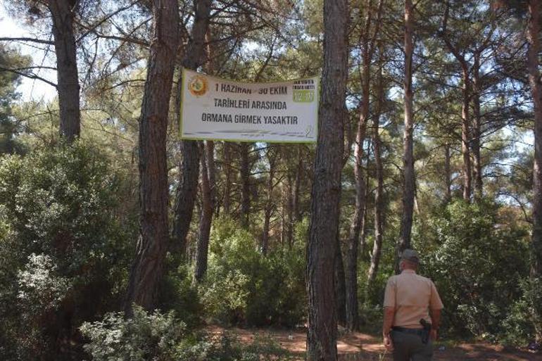 Valilik duyurdu  Ormanlık alanlara giriş yasaklandı
