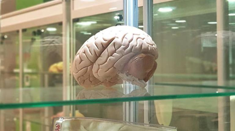 Otomobili sürüş tarzı Alzheimer olunduğunu gösterebilir