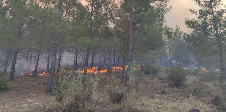 Son dakika... Haberler peş peşe geldi 3 ilde orman yangını