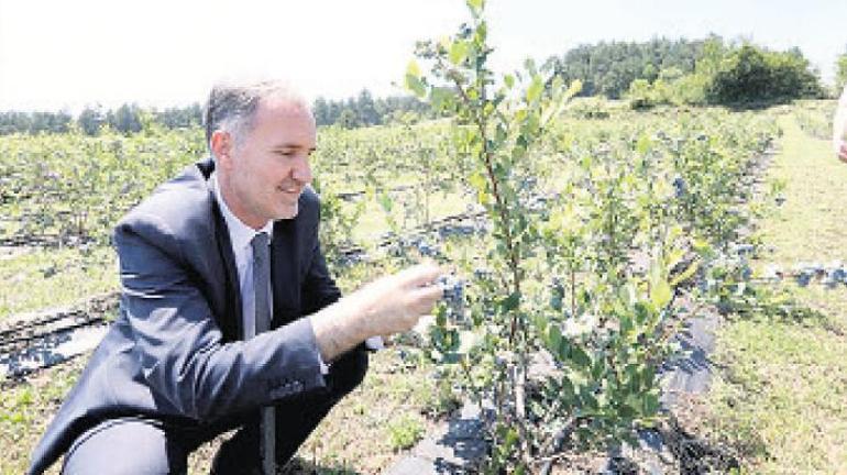 Çukurova’da havuzlar çocuklarla şenlendi