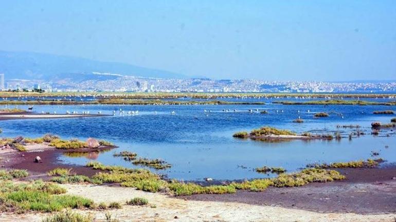 Vatandaşlar buldu inceleme başlatıldı Korkutan görüntü