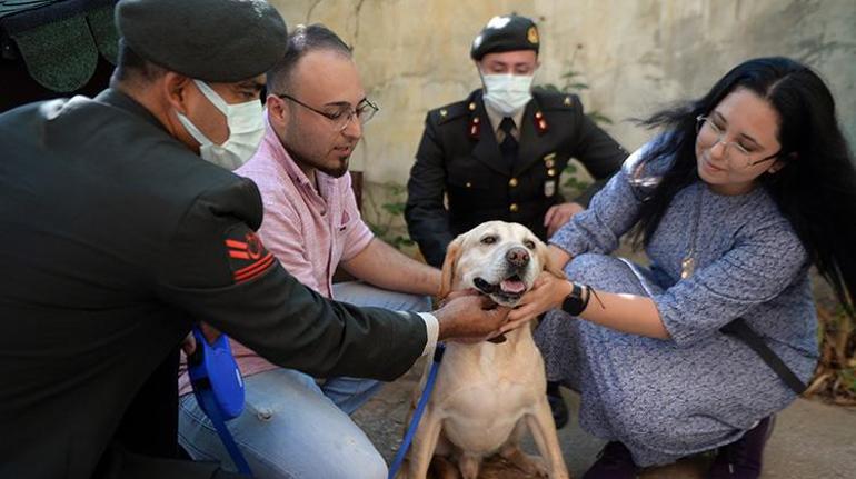 Oğullarını şehit verdikleri saldırıda gazi olan görev köpeğini sahiplendiler