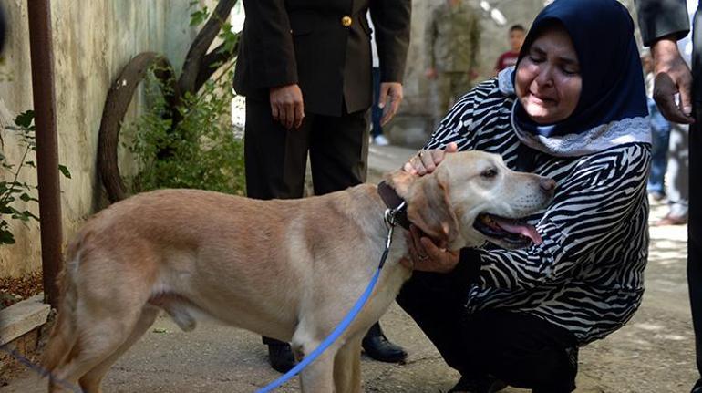 Oğullarını şehit verdikleri saldırıda gazi olan görev köpeğini sahiplendiler