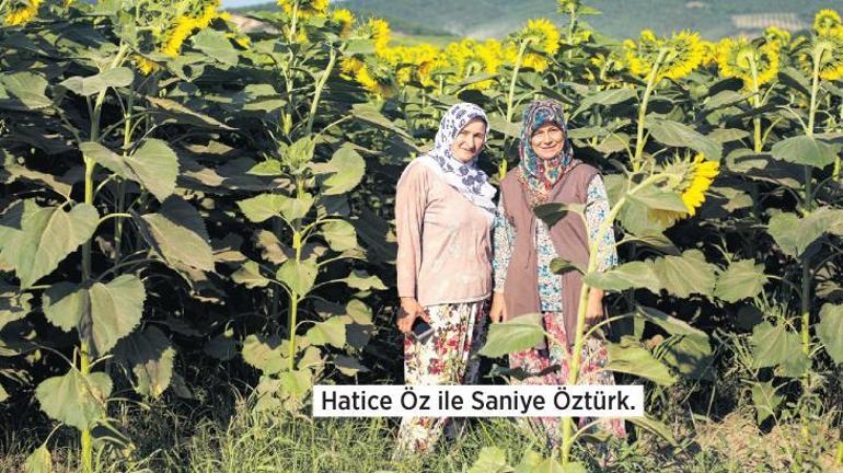 Tertemiz doğan Nilüfer’in zifte dönüş hikâyesi