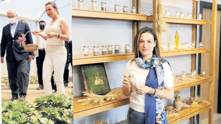 Toprakta kadın eli, üretim modeli