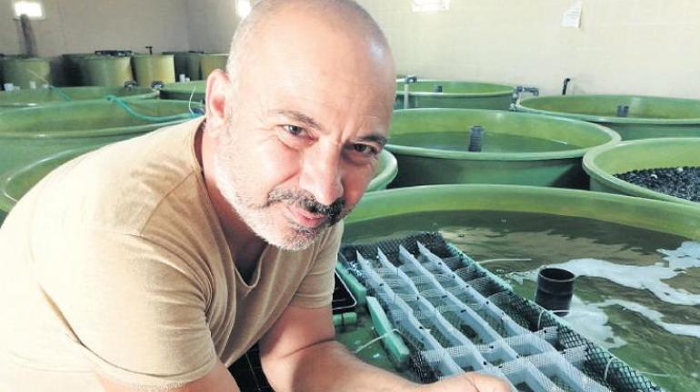 ‘Tüp ıstakoz’ mucizesi