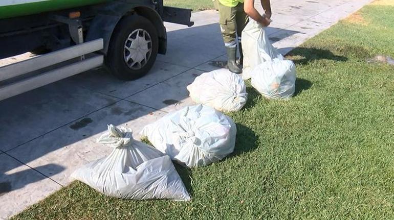Bayram tatili haftasında İstanbulda 817 ton çöp toplandı