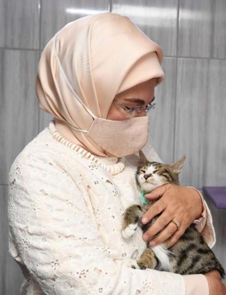 Emine Erdoğan: Hayvanlara yönelik suçlar oluşmadan çözüm üretmeliyiz