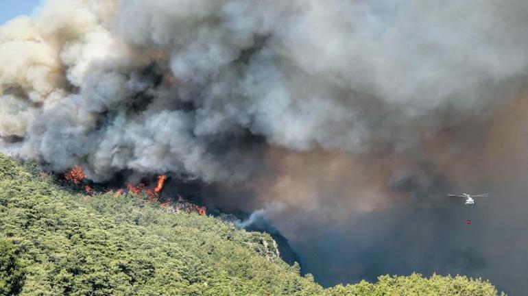ABD’den orman yangınları konusunda farklı yorumlar