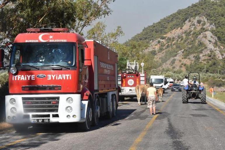 Milastaki yangında 3üncü gün; havadan müdahale yeniden başladı