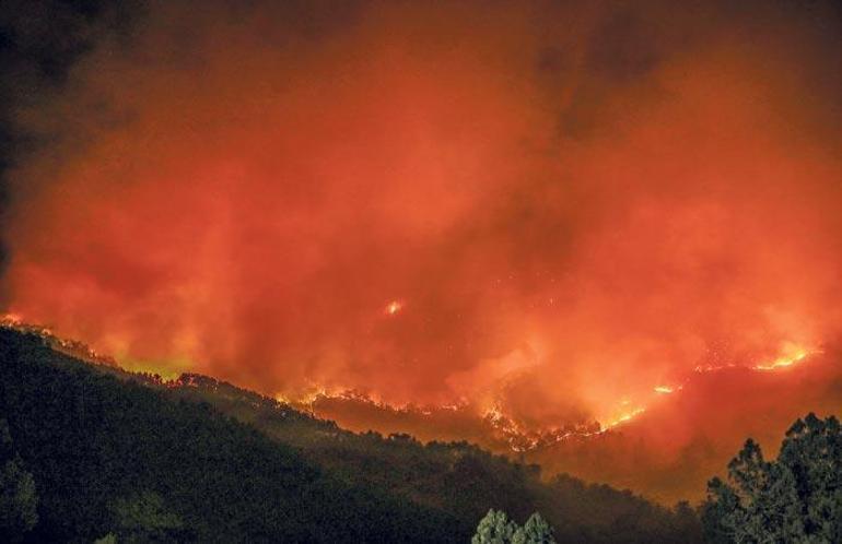 Muğla’da 10 bin kişi tahliye edildi