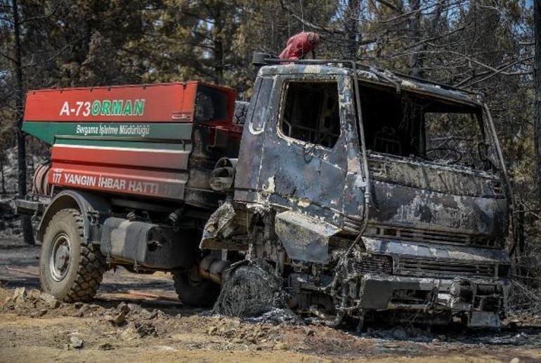 Manavgat yangınında acı görüntü