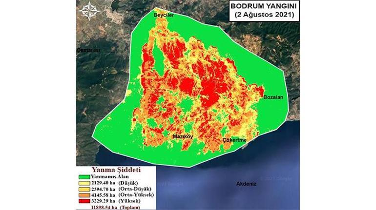 Gebze Teknik Üniversitesi, orman yangınlarının etkili olduğu alanları haritalandırdı