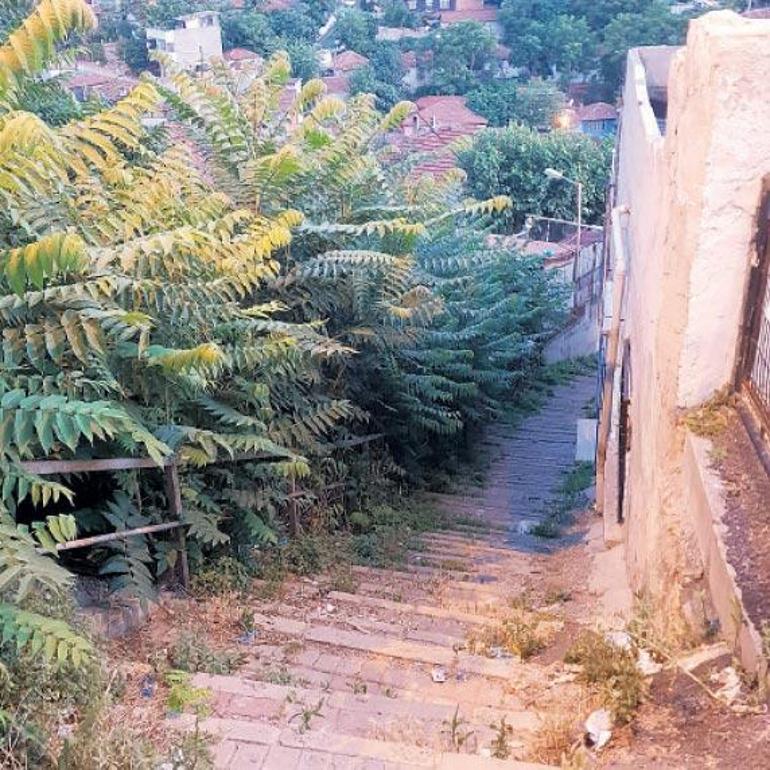 Büyükşehir destekliyor, çiftçi kazanıyor