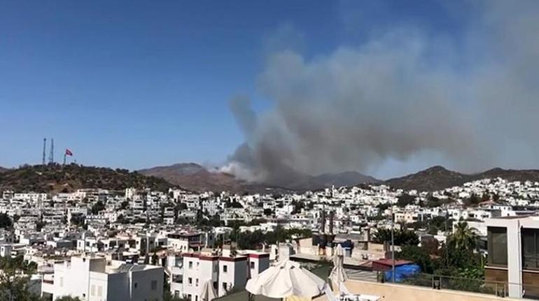 Son dakika... Bodrumda makilik ve otluk alanda yangın