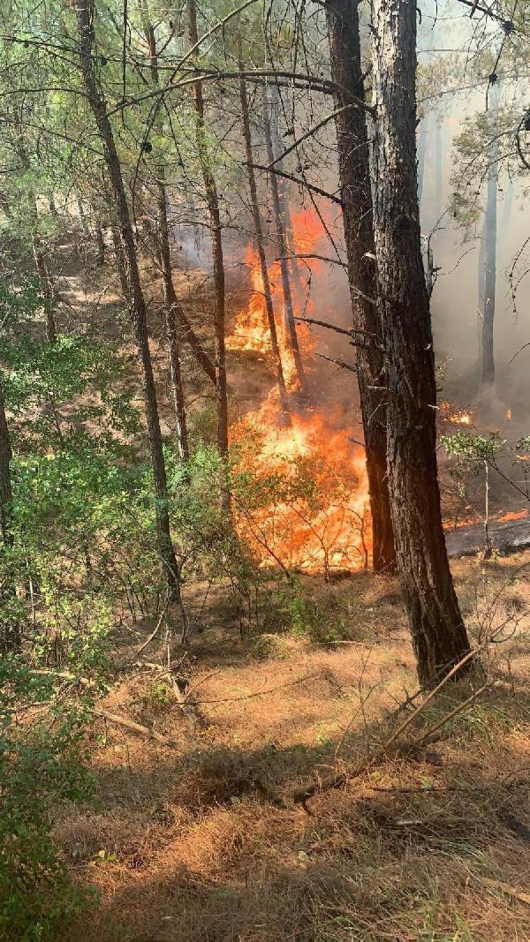 Son dakika... Adana Kozanda orman yangını Ekipler bölgede
