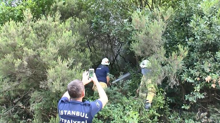 İstanbulda orman yangını paniği Devriye gezen polisler koştu