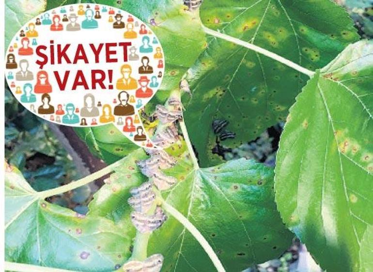 YARALARI SARMAYA DEVAM EDİYOR