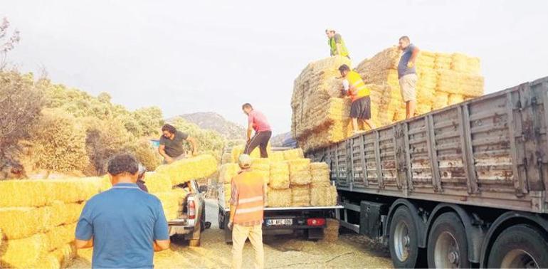 ‘Otobüse binmeye korkuyoruz’