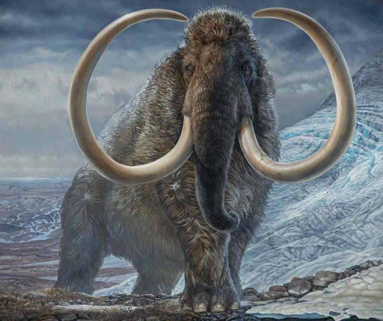 Film gerçek oluyor Soyu tükenen mamutları geri getirecekler