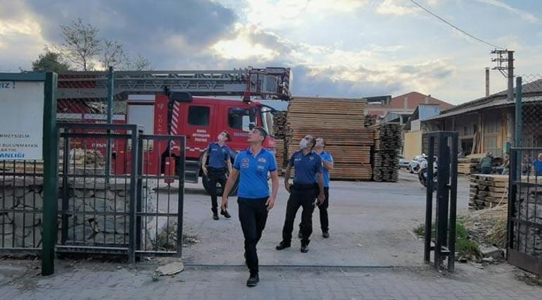 Şoke eden anlar Direkte uyuyakaldı