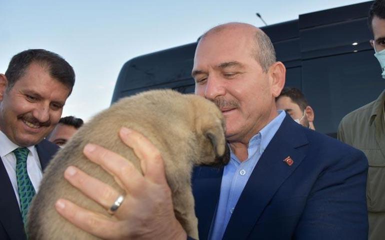 Bakan Soylu Sivasta ziyaretlerde bulundu