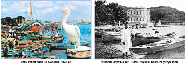 Burası İstanbul: Kent ve doğa arası