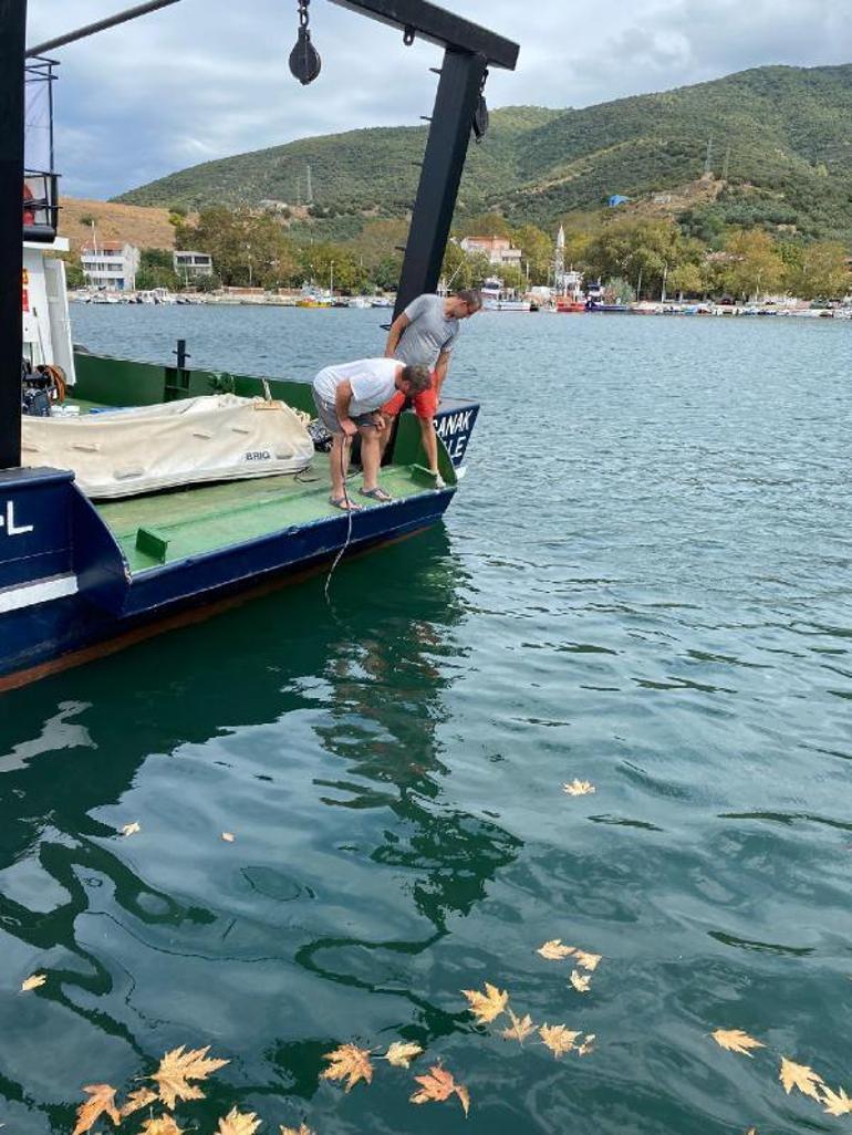 Marmara Denizi müsilajdan arınacak
