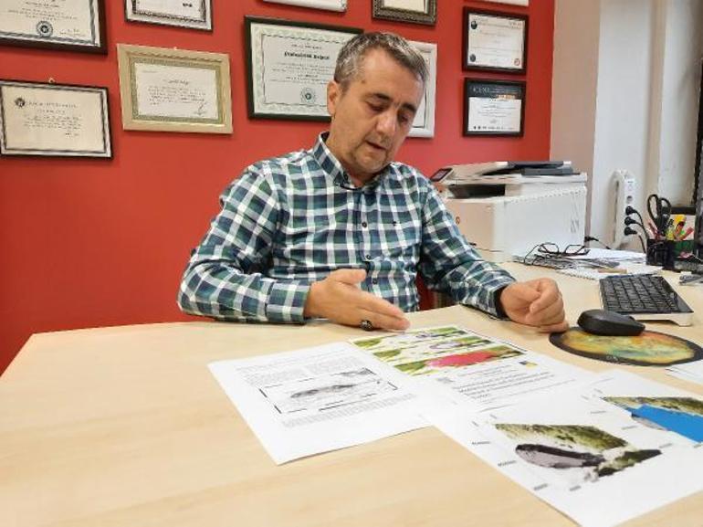 Prof. Dr. Oruç: Marmara Denizinde tsunami, insanları denize sürükleyebilir